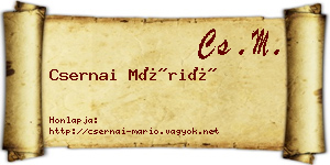 Csernai Márió névjegykártya